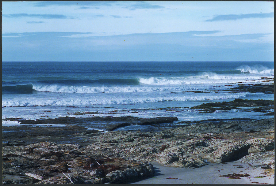 Lobsters surf break