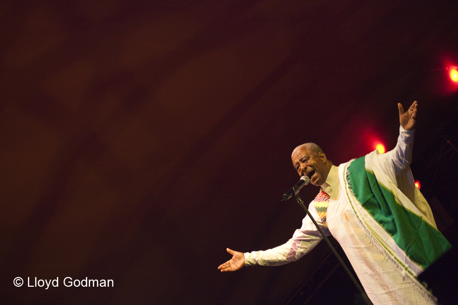 Ethipiques - The Armarda - Womad - Adelaide - Australia - 2010 - Lloyd Godman