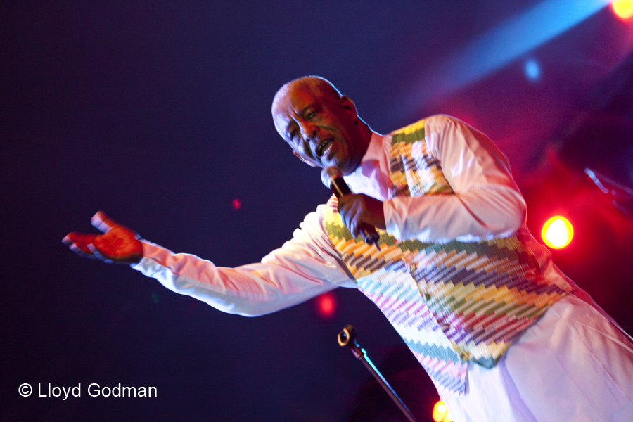 Ethipiques - The Armarda - Womad - Adelaide - Australia - 2010 - Lloyd Godman