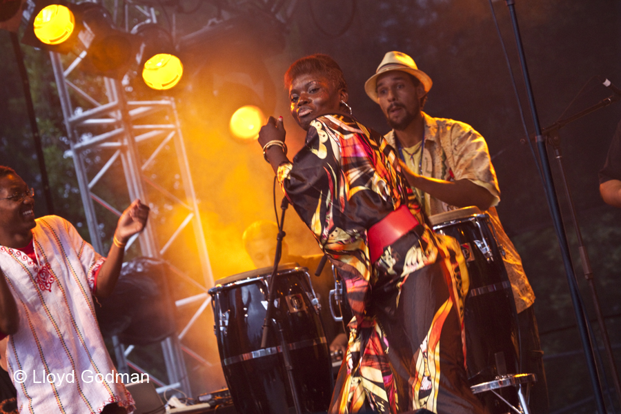 The Public Opinion Afro Orchestra - Womad - Adelaide - Australia - 2010 - Lloyd Godman