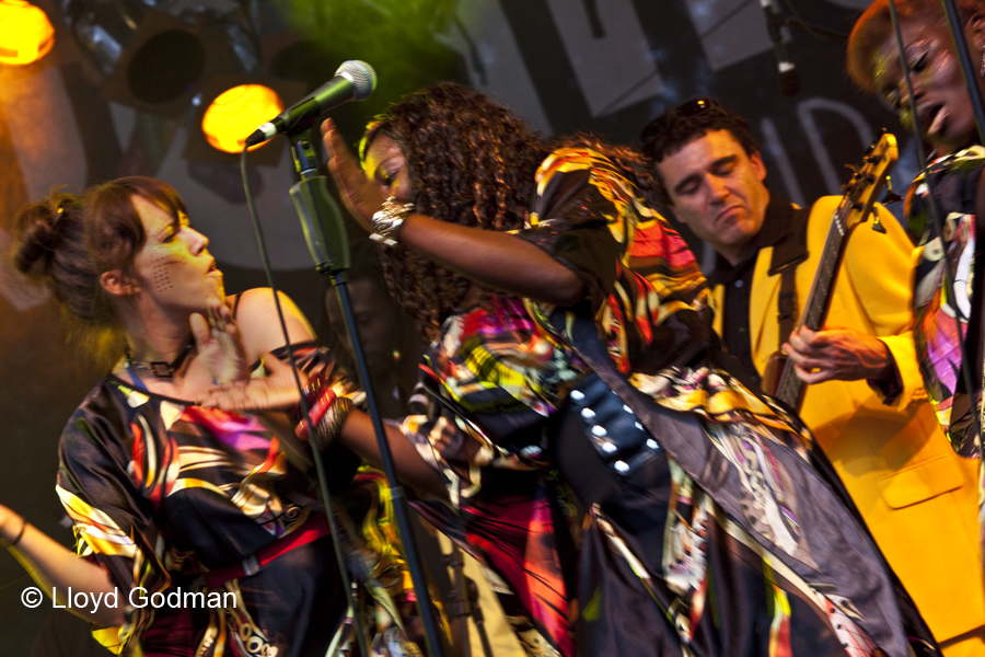 The Public Opinion Afro Orchestra - Womad - Adelaide - Australia - 2010 - Lloyd Godman
