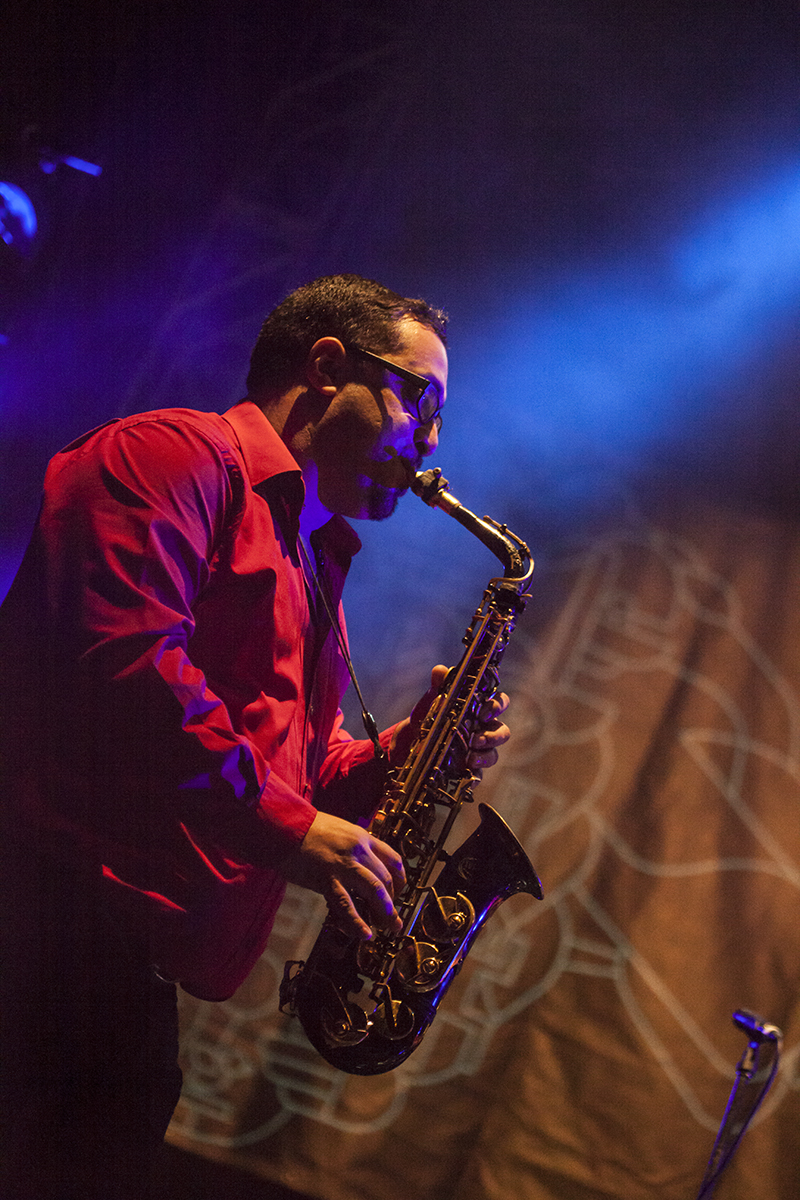 Lloyd Godman, Fanfare Ciocarlia, Womad, Womadalaide, 2015