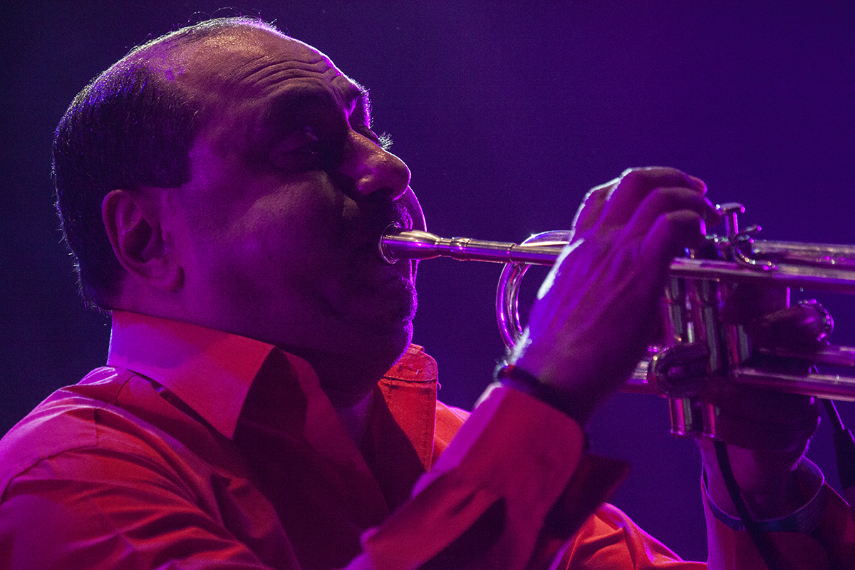 Lloyd Godman, Fanfare Ciocarlia, Womad, Womadalaide, 2015