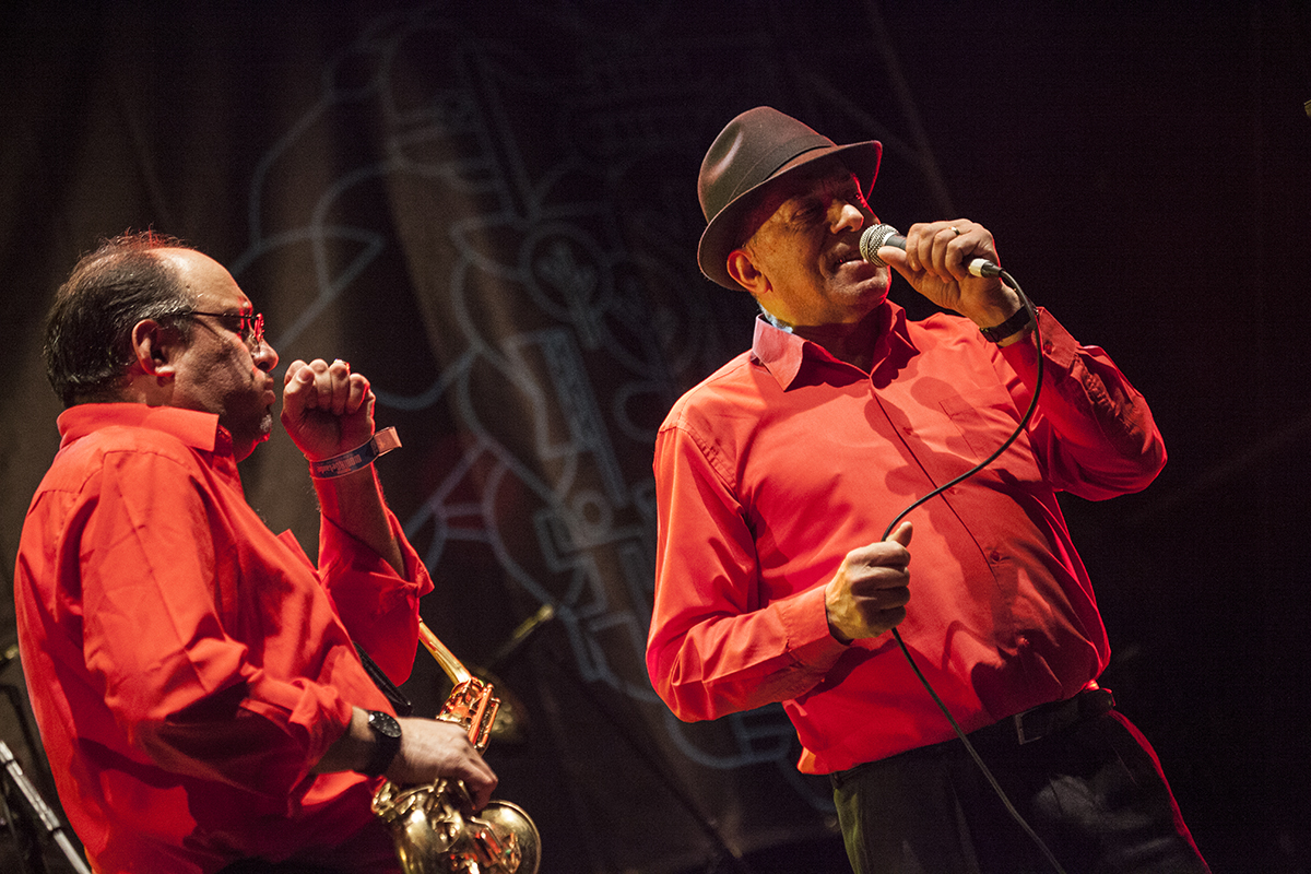Lloyd Godman, Fanfare Ciocarlia, Womad, Womadalaide, 2015