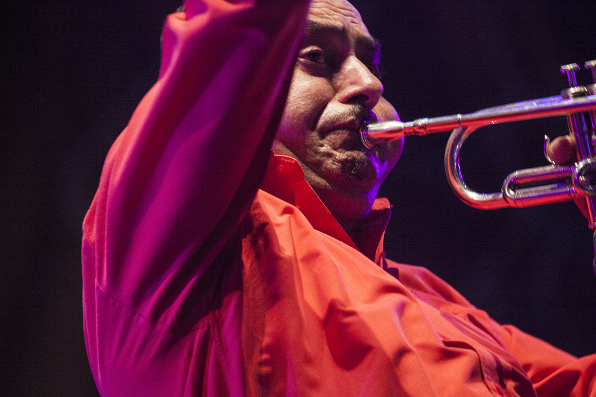 Lloyd Godman, Fanfare Ciocarlia, Womad, Womadalaide, 2015