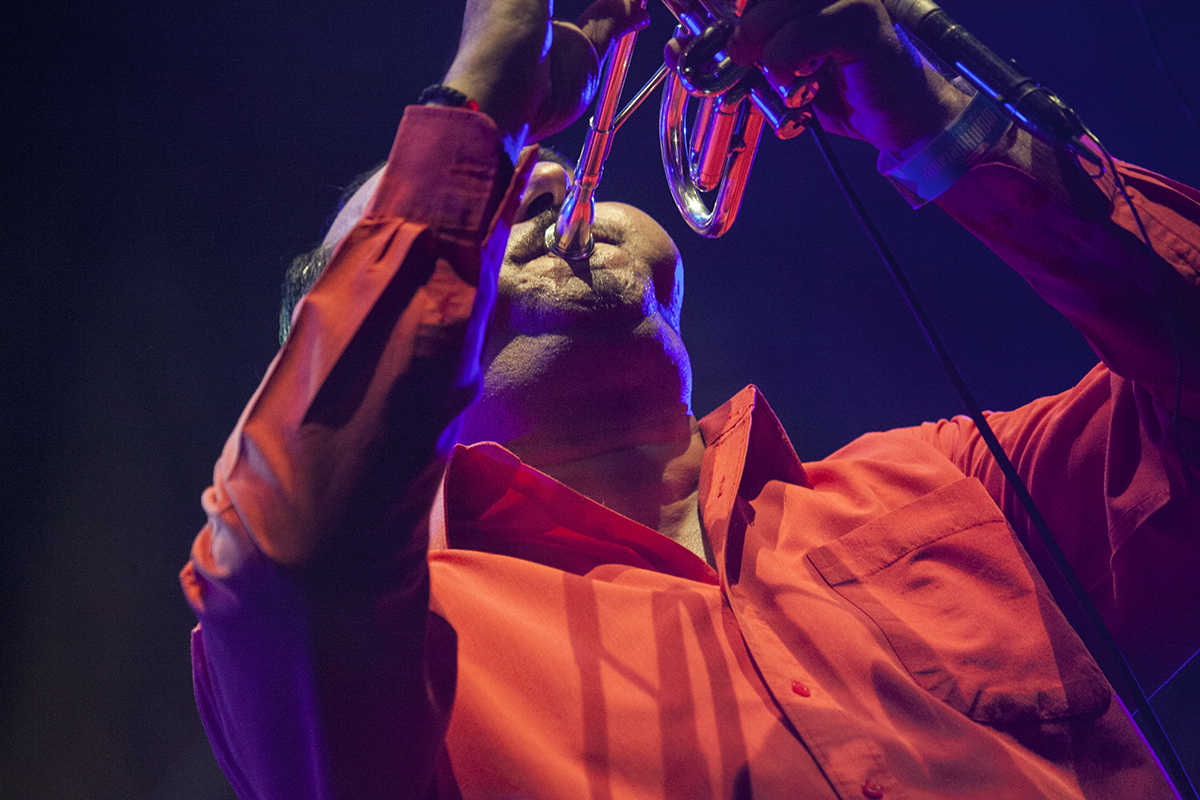 Lloyd Godman, Fanfare Ciocarlia, Womad, Womadalaide, 2015
