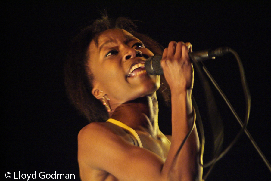 Rokia Traore - Womad - Adelaide - Australia - 2009 - Photograph Lloyd Godman