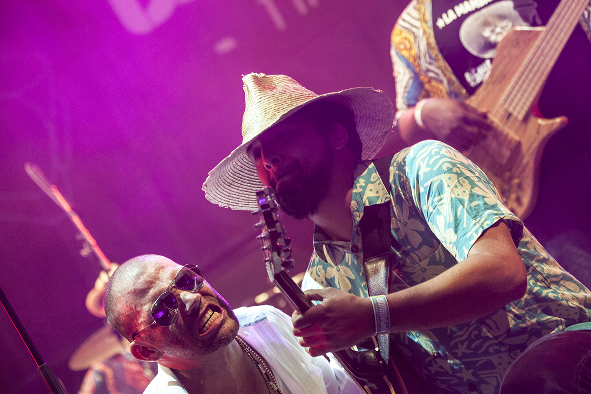 La Mambanegra, Womad, Womadalaide, 2017