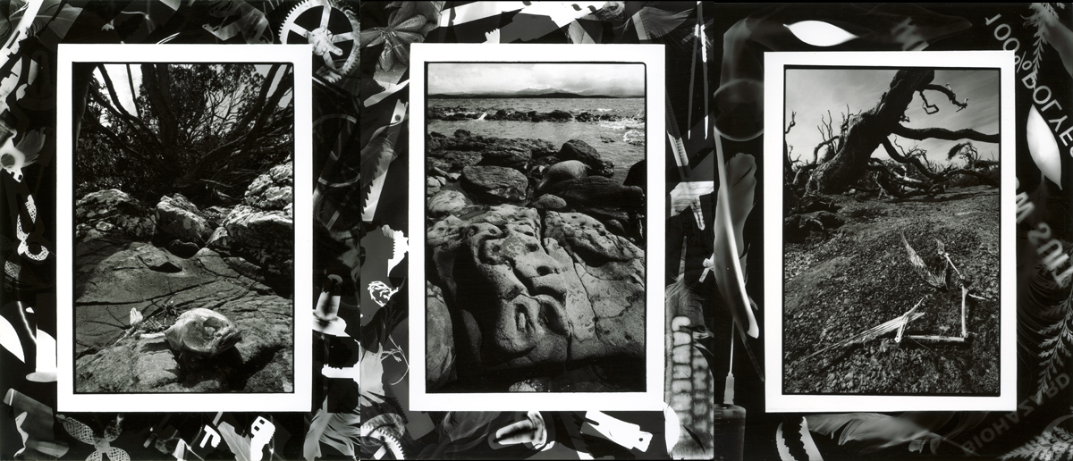 combination photograms photographs, Auckland Islands, lloyd godman