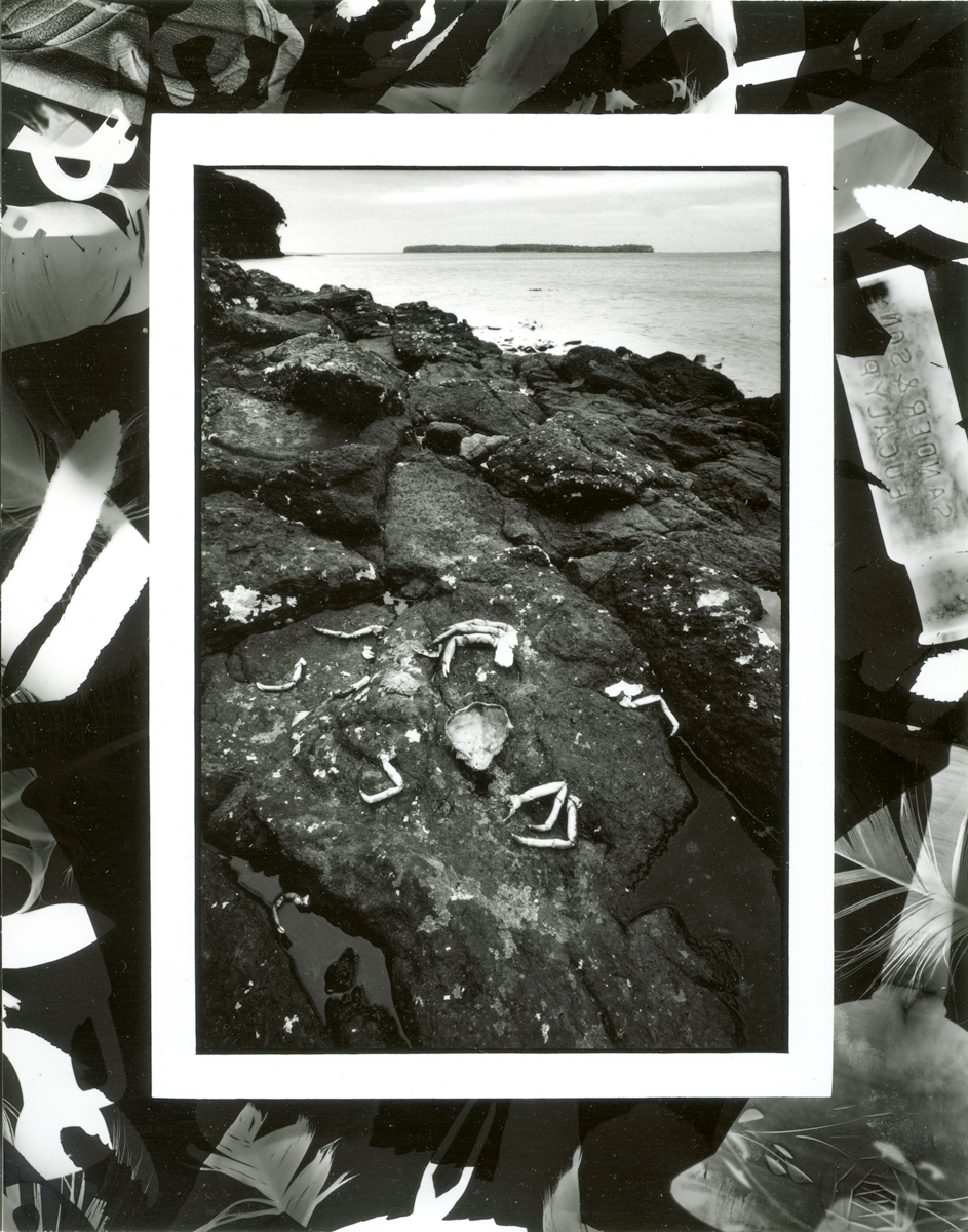 From Ewing Island to Yule Island then Green Island and Bird in sky, lloyd godman