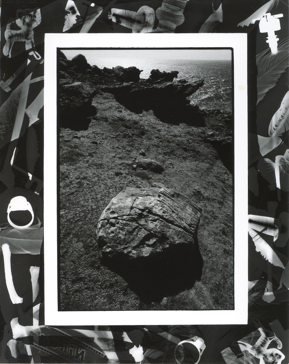 Cliff top Enderby Island, lloyd godman
