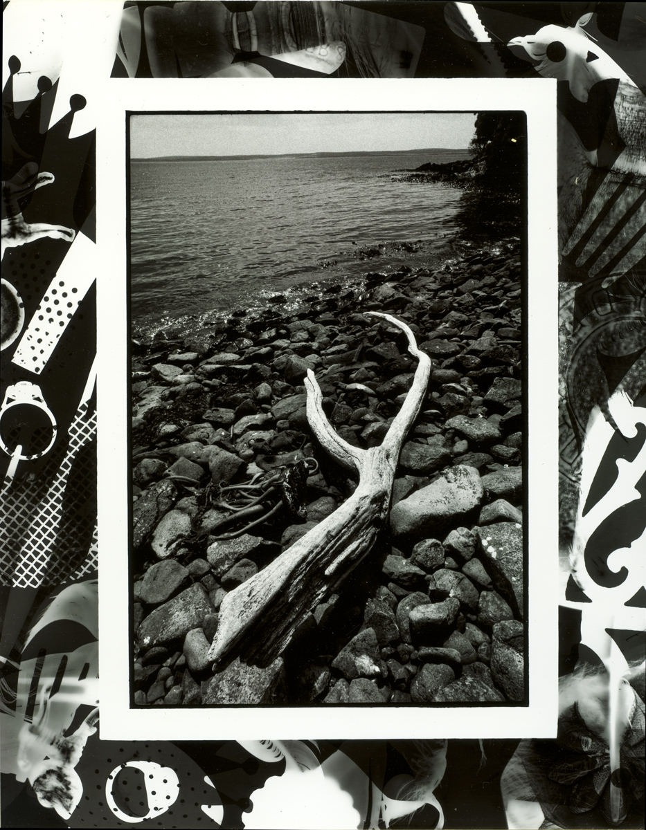 East Coast Ewing Island, Auckland Islands, Lloyd Godman