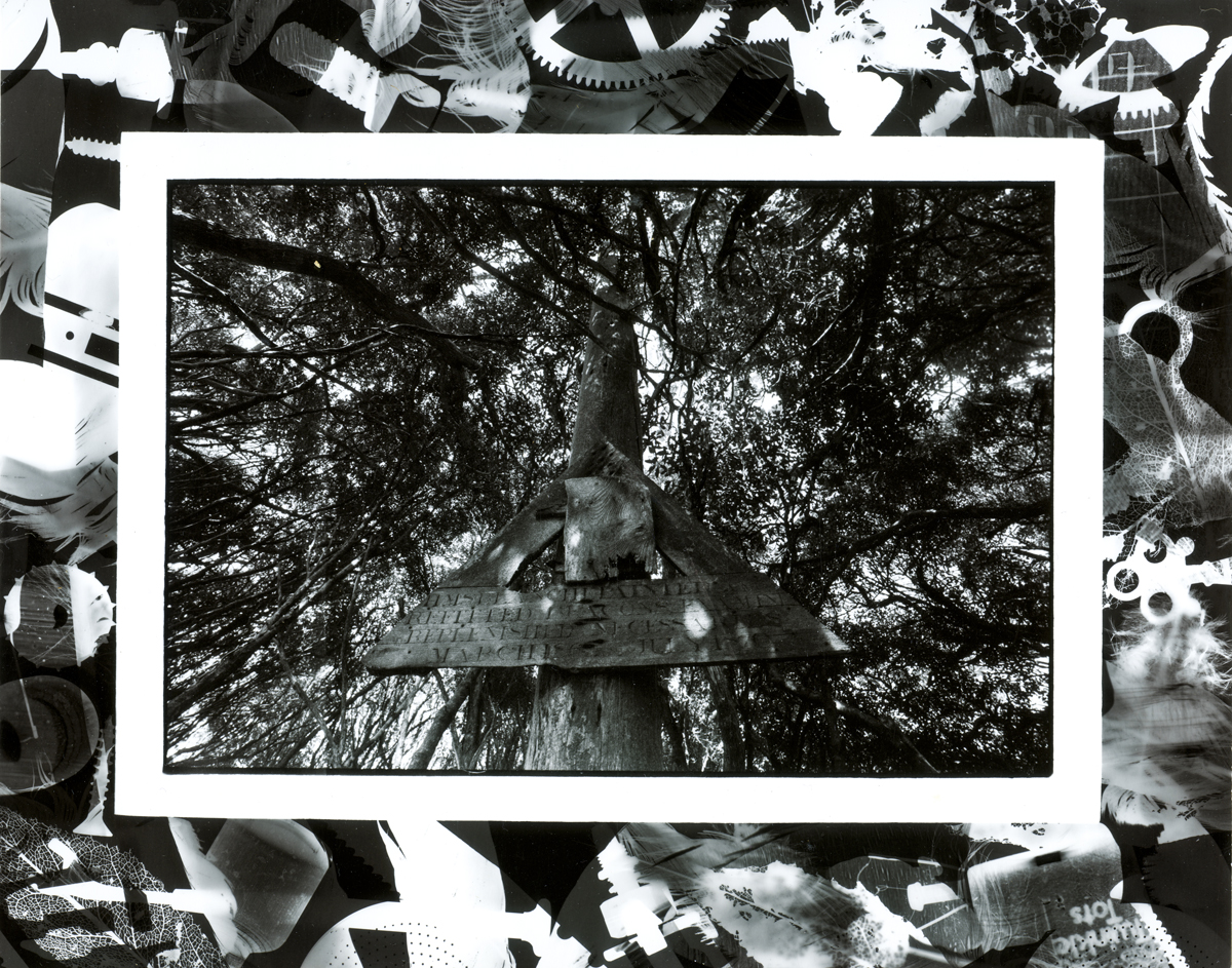 flag pole with a beacon mounted on it in Oleria forest inscription carved by H.M.S.Blanche