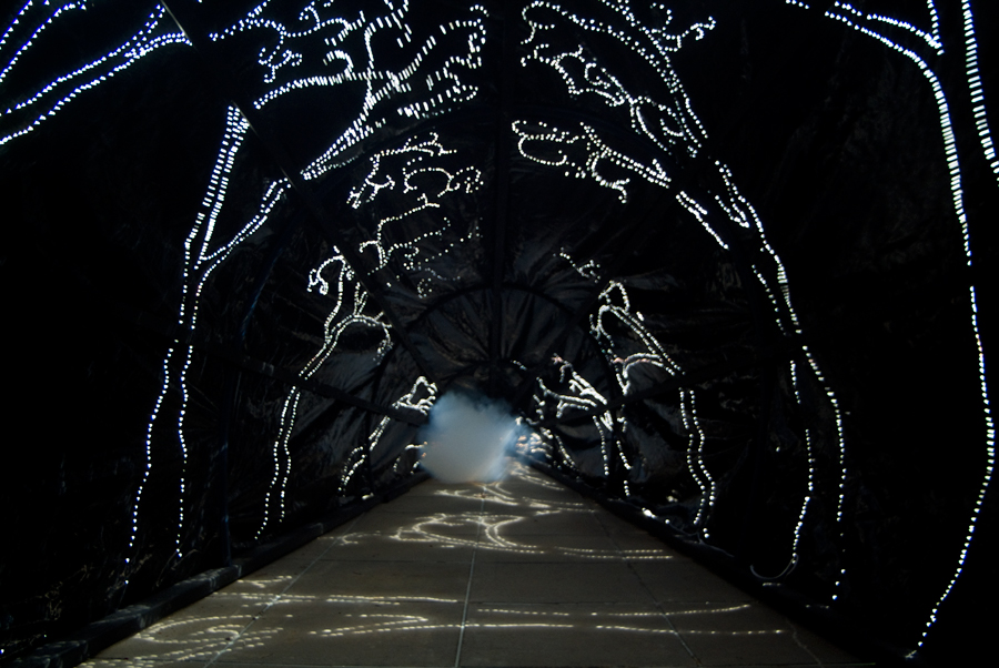 Interior of Carbon Obscura with sun projections - fog beginning to emerge at the back of the tunnel - on the deck outside Photospace Gallery ANU, lloyd godman