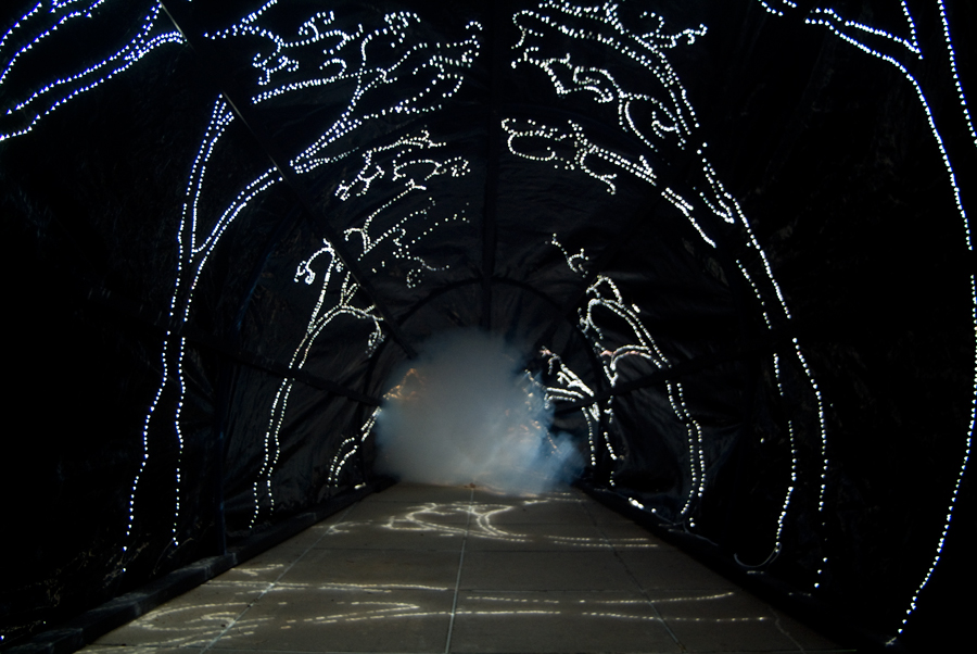 Interior of Carbon Obscura with sun projections - fog beginning to emerge at the back of the tunnel - on the deck outside Photospace Gallery ANU, lloyd godman