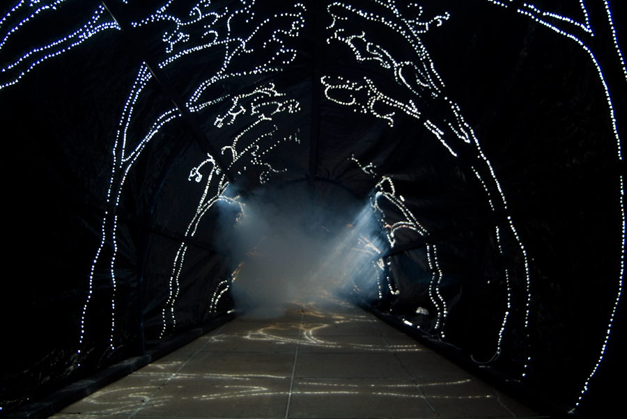 Interior of Carbon Obscura with sun projections - fog beginning to emerge at the back of the tunnel - on the deck outside Photospace Gallery ANU, lloyd godman