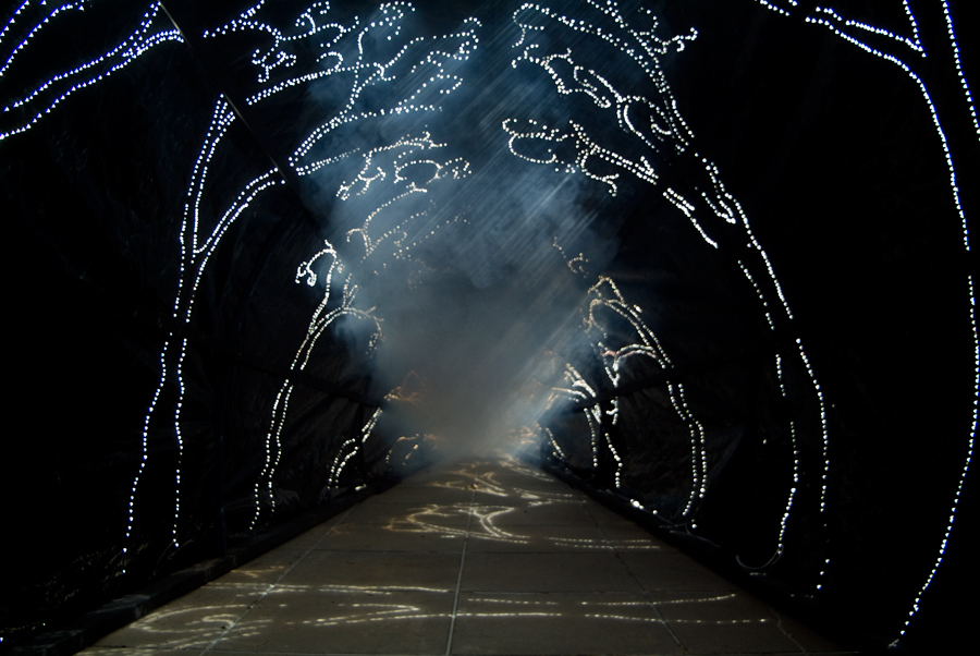 Interior of Carbon Obscura with sun projections - fog beginning to emerge at the back of the tunnel - on the deck outside Photospace Gallery ANU, lloyd godman