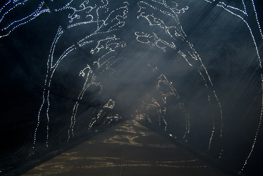 Interior of Carbon Obscura with sun projections - fog beginning to emerge at the back of the tunnel - on the deck outside Photospace Gallery ANU, lloyd godman