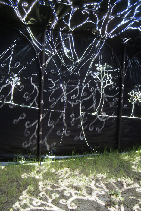 light projection, Lloyd Godman