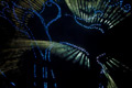 Lloyd Godman, Chambre Noire I