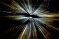 Lloyd Godman, Chambre Noire I