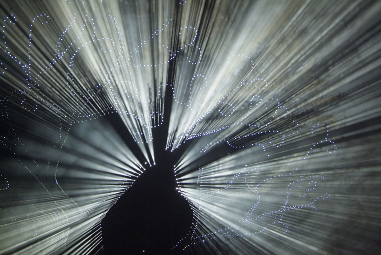 Lloyd Godman, pin hole projection