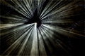 Lloyd Godman, Chambre Noire I