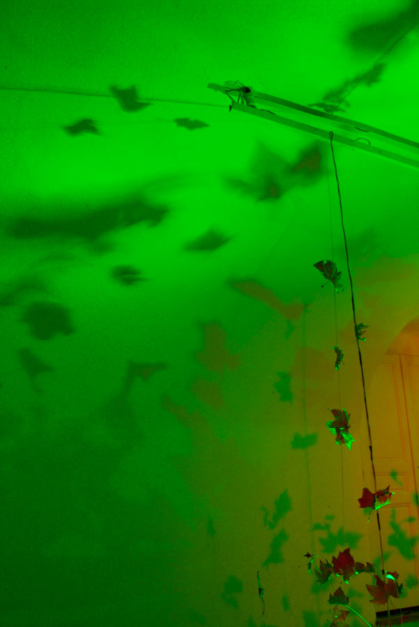 Green Shadow projection, Lloyd Godman