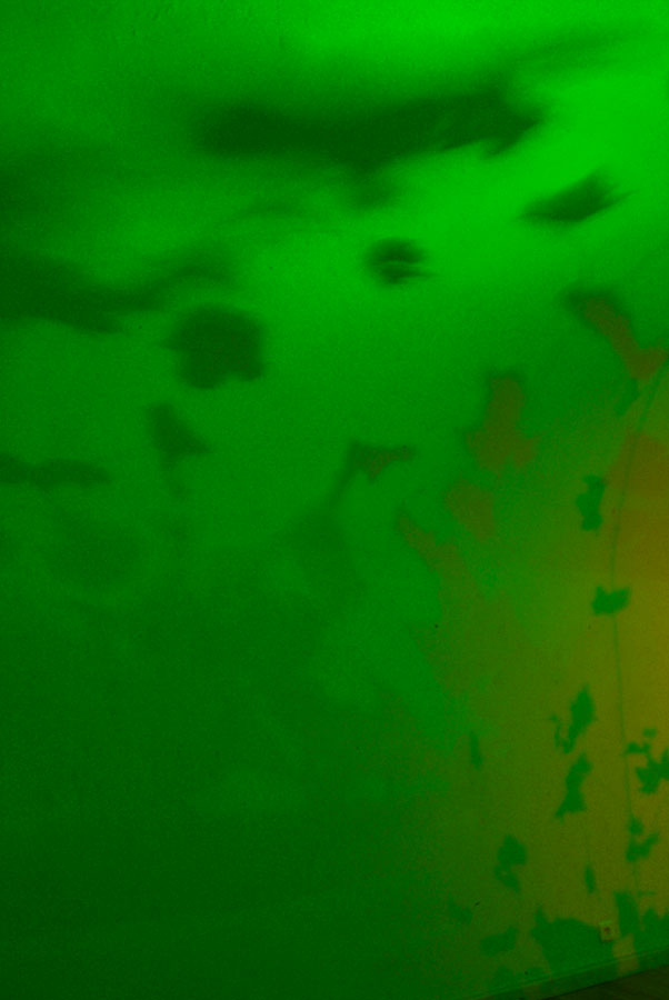 Green Shadows, Lloyd Godman