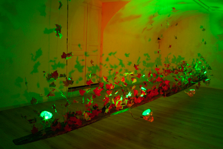 la Chambre verte - the Green Room, lloyd godman