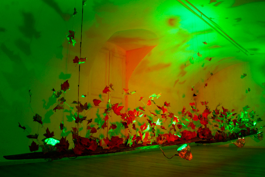 la Chambre verte - the Green Room, lloyd godman