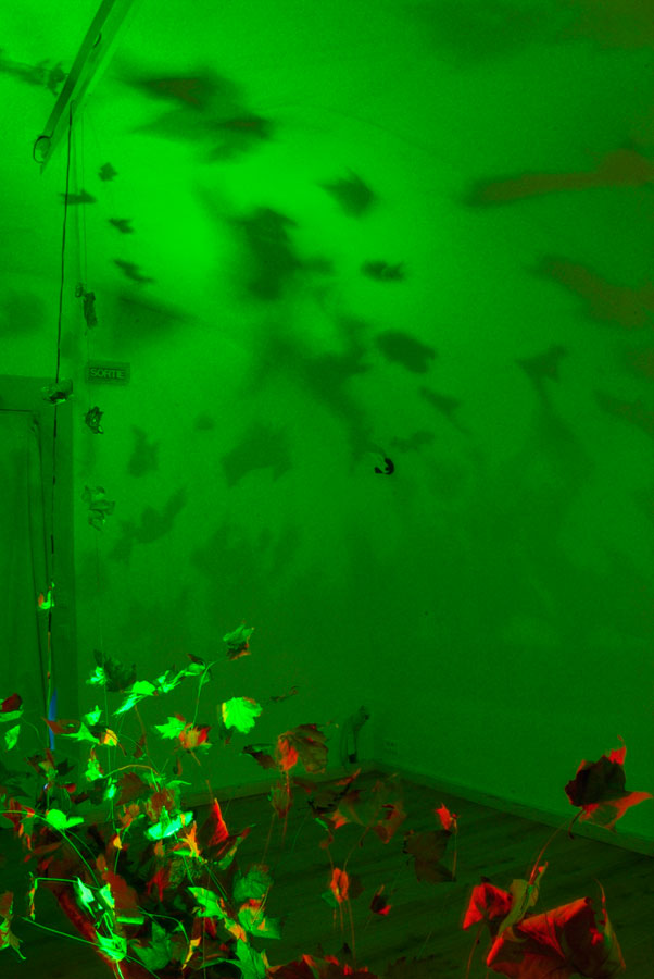Green Shadows, Lloyd Godman