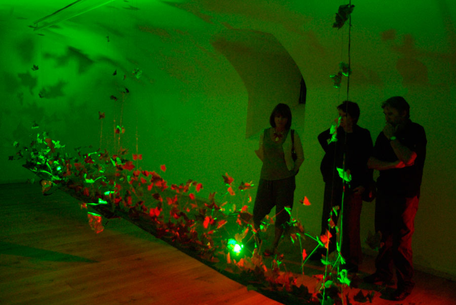 Green Shadows, Lloyd Godman