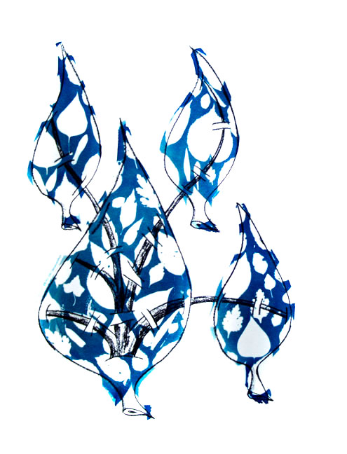 Cyanotype photogram