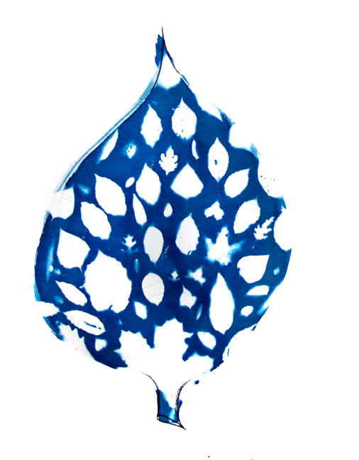 Lloyd Godman Leaf print
