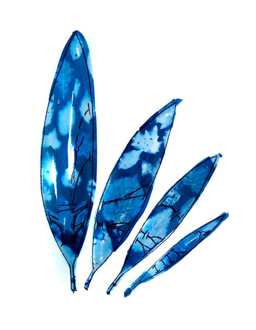 Cyanotype photogram, Lloyd Godman