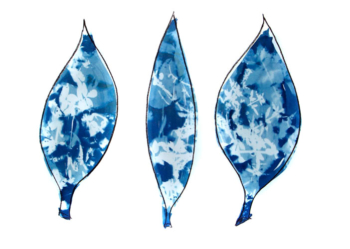 cyanotype Lloyd Godman