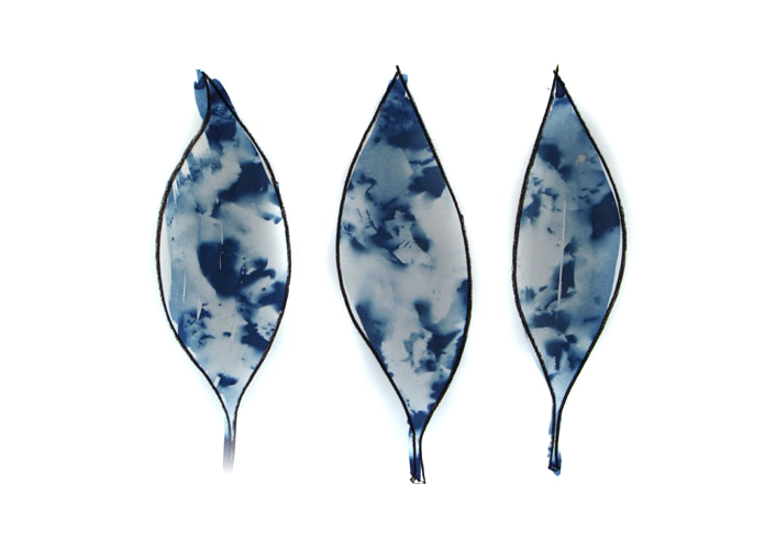 cyanotype Lloyd Godman
