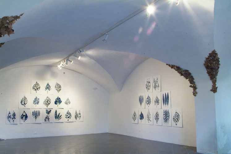 LEAF - light impressions - works in situ