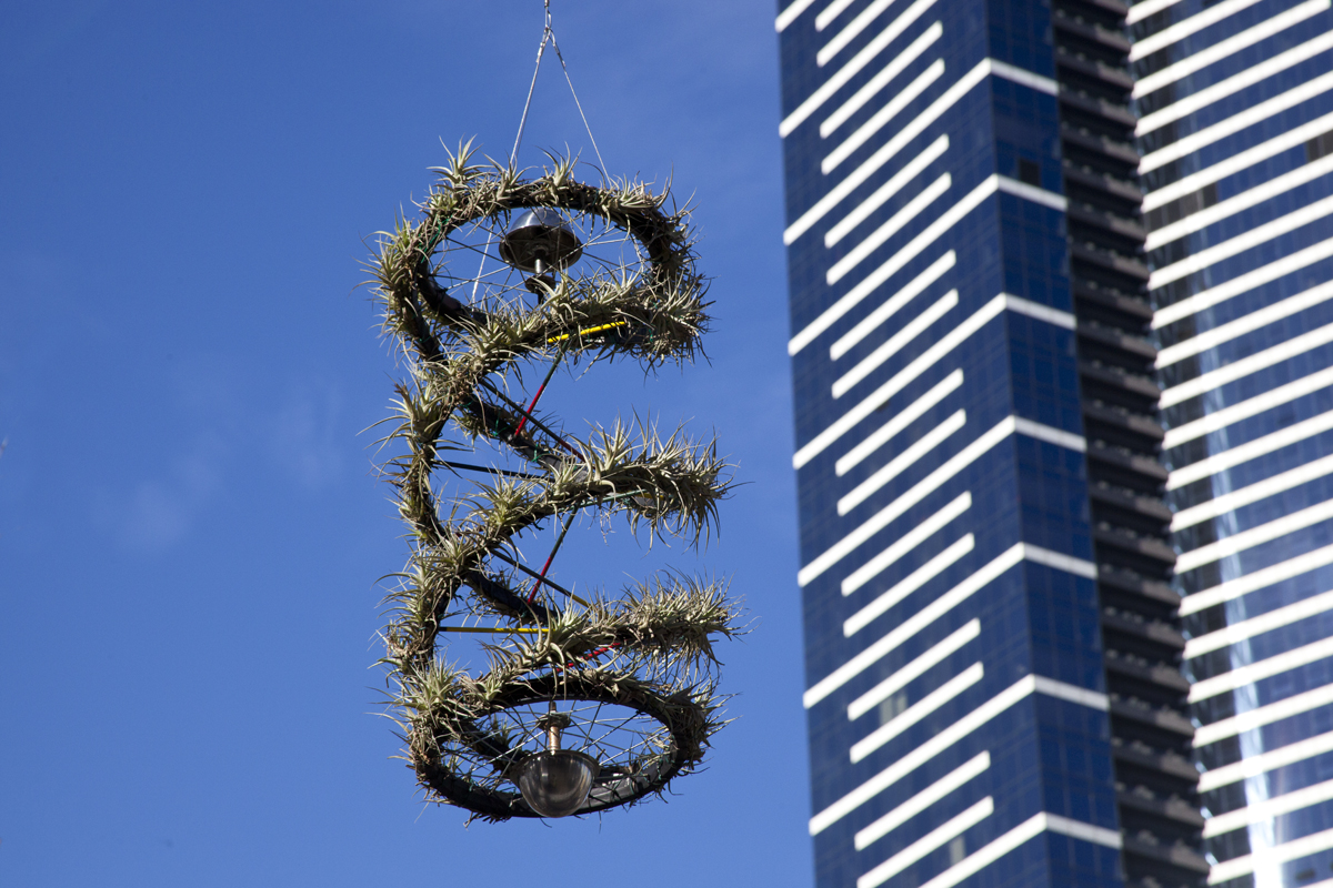 Nature Reclaims the Helix, recycled bicycle wheels, stainless cups, steel, a single rotating element based on the DNA Helix. Installed 27 July, 2013 - Images, with Melbourne's tallest building Eureka tower in the background., lloyd Godman