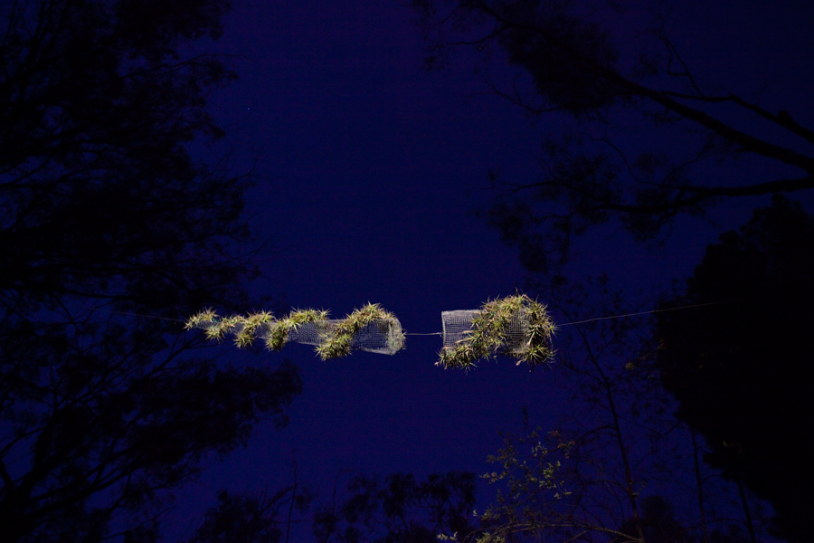 Entropy Spiral III, air garden, lloyd godman