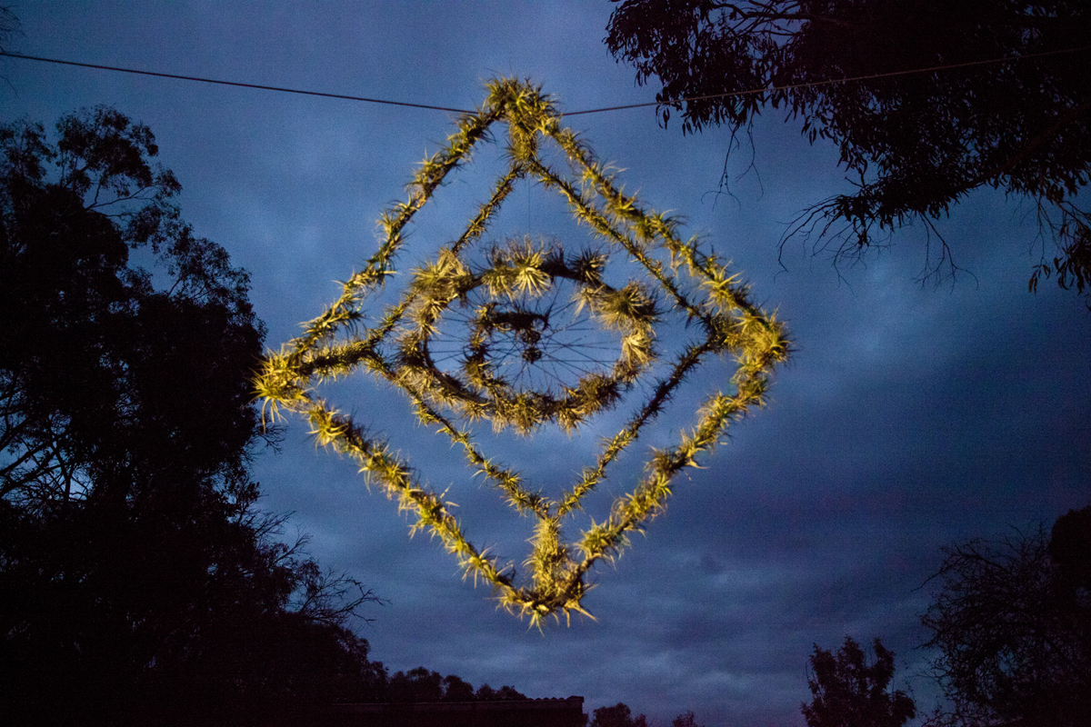 Atmocycle, 1600 x1600, recycled bicycle wheel, steel, Tillandsia plants - Lloyd Godman 2012