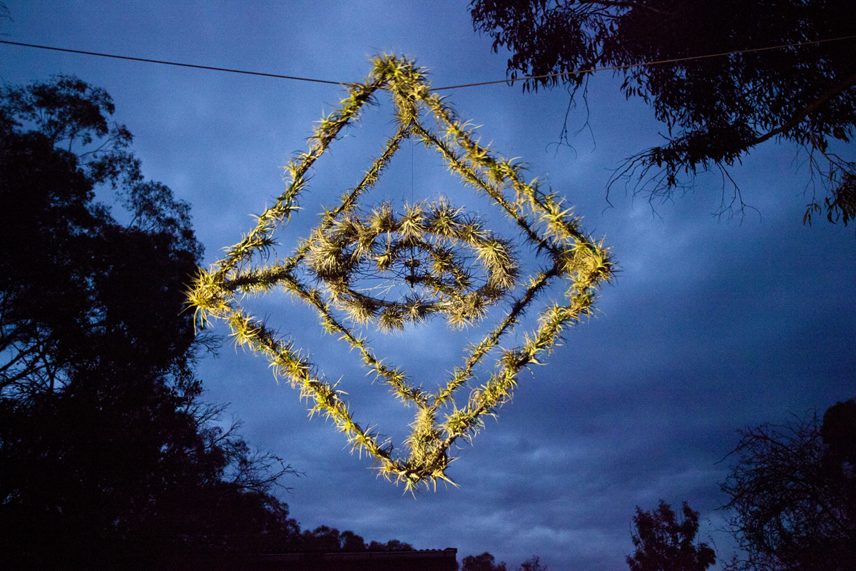 Atmocycle, 1600 x1600, recycled bicycle wheel, steel, Tillandsia plants - Lloyd Godman 2012