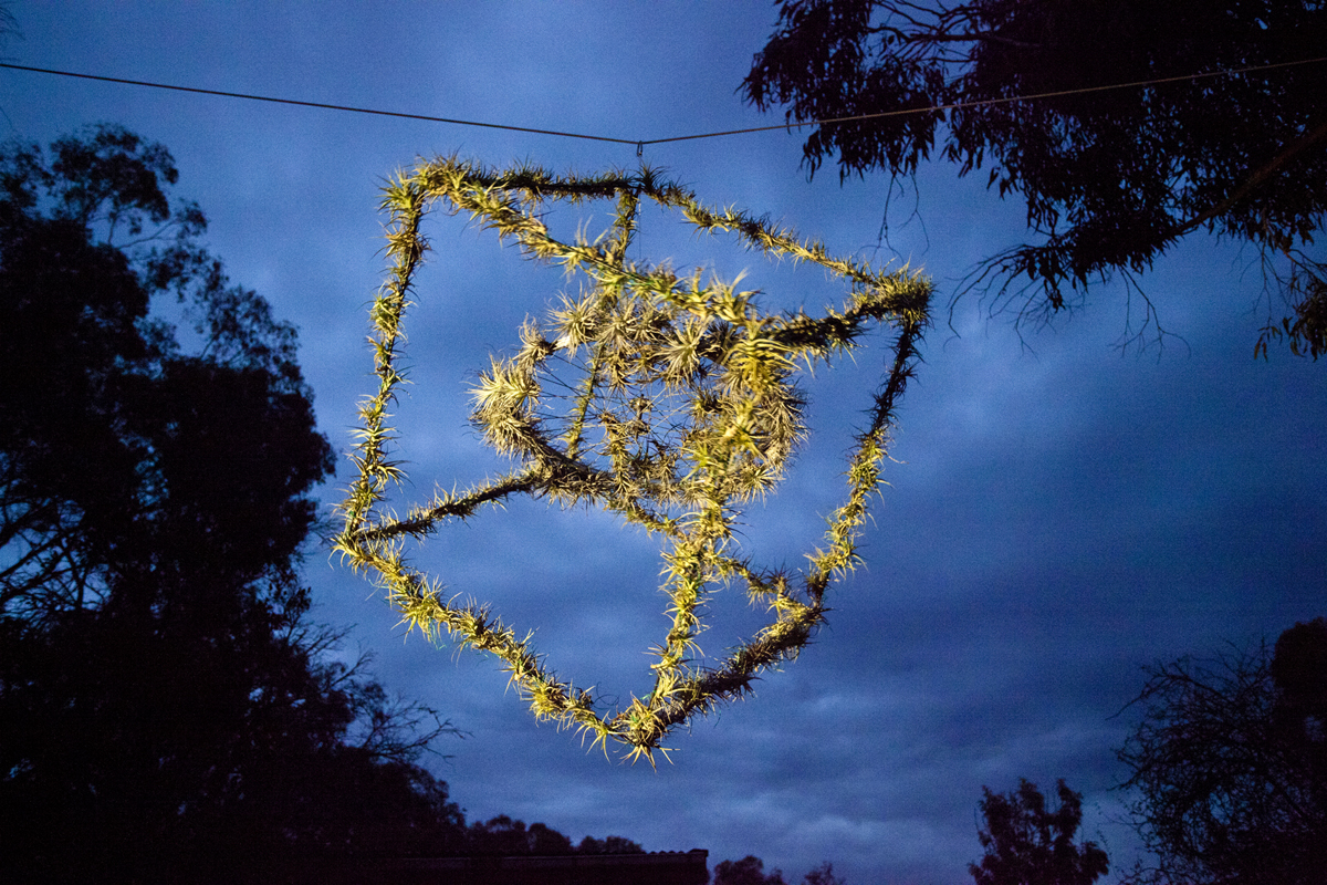 Atmocycle, 1600 x1600, recycled bicycle wheel, steel, Tillandsia plants - Lloyd Godman 2012