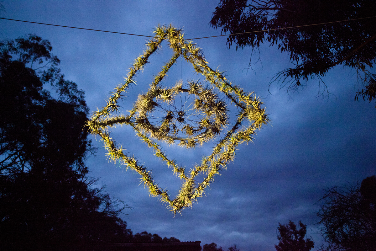 Atmocycle, 1600 x1600, recycled bicycle wheel, steel, Tillandsia plants - Lloyd Godman 2012