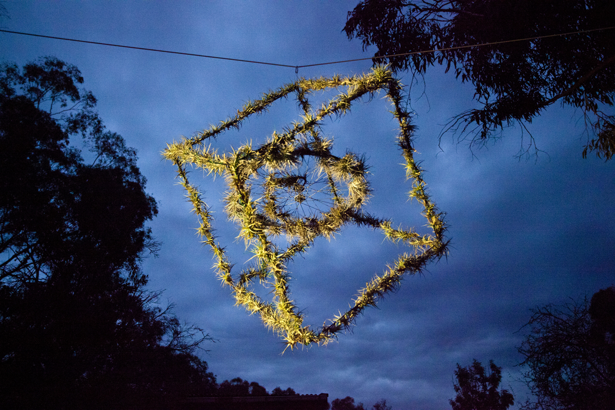 Atmocycle, 1600 x1600, recycled bicycle wheel, steel, Tillandsia plants - Lloyd Godman 2012