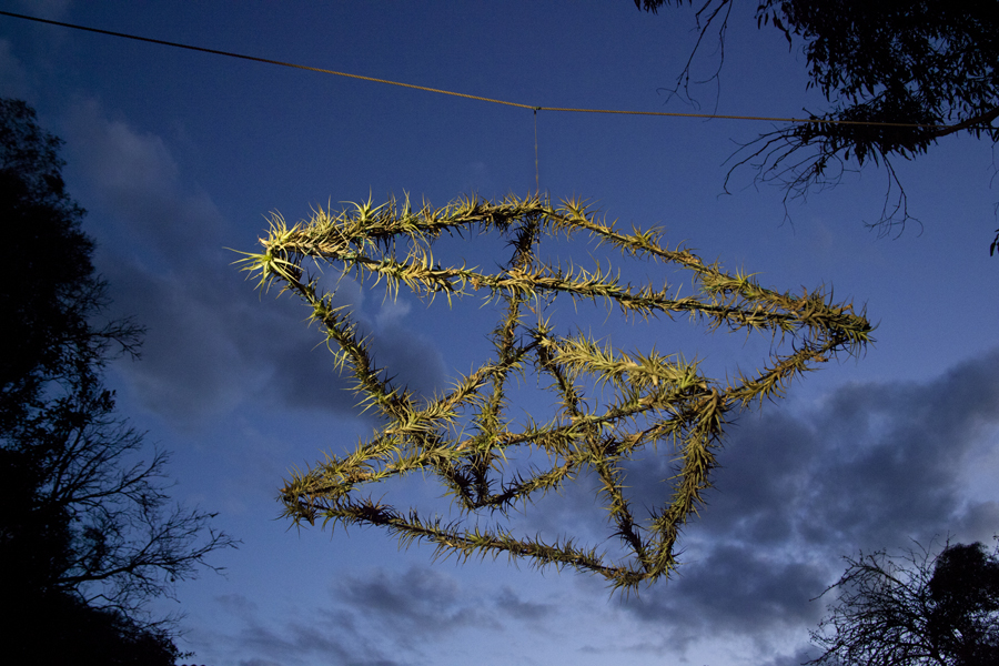 Double Pyramid, tilandsia plant, rotating air garden, Lloyd Godman