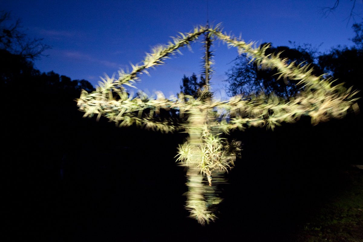 Atmocycle, 1600 x1600, recycled bicycle wheel, steel, Tillandsia plants - Lloyd Godman 2012