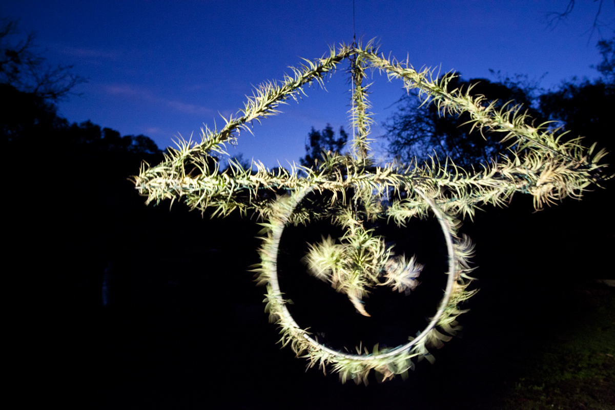 Atmocycle, 1600 x1600, recycled bicycle wheel, steel, Tillandsia plants - Lloyd Godman 2012