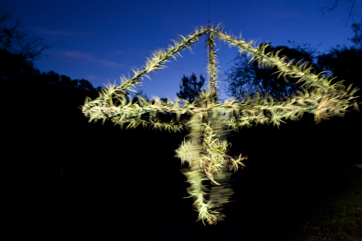 Atmocycle, 1600 x1600, recycled bicycle wheel, steel, Tillandsia plants - Lloyd Godman 2012
